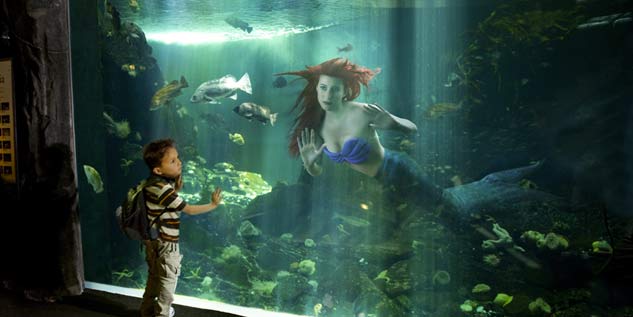 ariel-