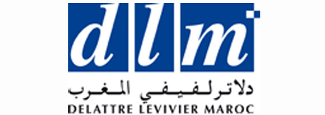 Dlm Logo